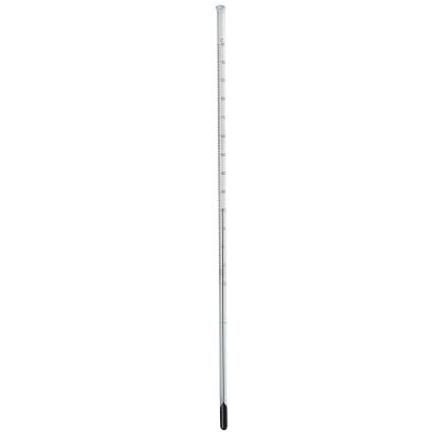 INITIAL LAB THERMOMETER 205MM P10
