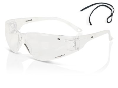 CLEAR WRAP AROUND SPECTACLE